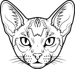 Abyssinian cat head front view outline icon vector
