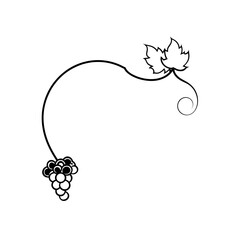 watercolor grapevine border  vineyard harvest them