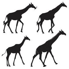 Filled Bundle Of Gothic Style Windows And Cat