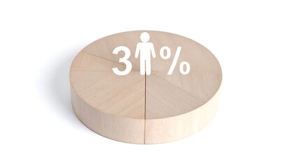 31 Wooden Pie Chart Statistic.