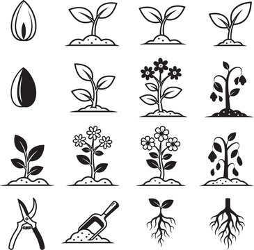Set of black and white icons illustrating the plant life cycle from seed and sprout to flowering and wilting including gardening tools