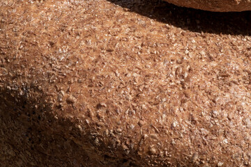 close up of a bread texture