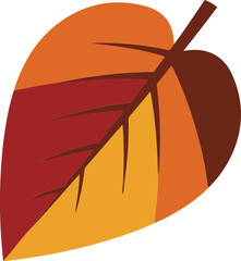 single autumn leaf