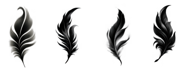 Four artistic black ink brush stroke feathers isolated on a transparent background