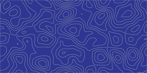 Modern Map with Abstract, Fluid Topographic Lines on a Clean blue Background, Ideal for Creative, Professional Design and Mapping Projects in the Geospatial Industry.