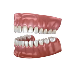 Obraz premium 3d rendered illustration of human teeth isolated on transparent background