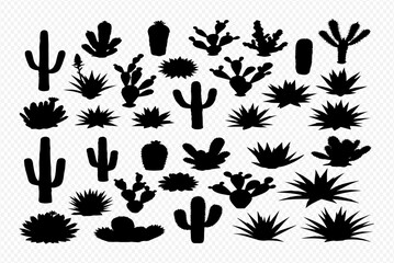 Collection of desert plant silhouettes: cacti, succulents, and grasses.