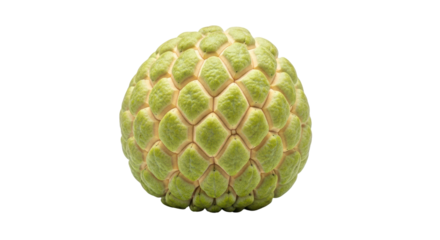 Isolated Sugar Apple