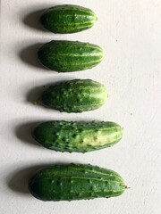 Domestic cucumbers set on white table top view, farm harvest