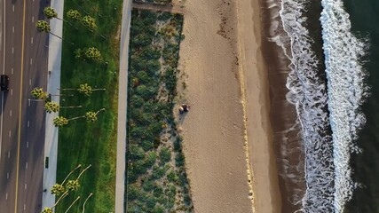 Aerial view of the contrasting colors of the ocean waves, sandy beach, green grass and palm trees along the coast, Santa Barbara, California, United States.
