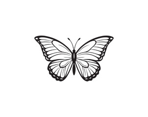 Obraz premium Black and White Butterfly with Intricate Wing Detail Illustration