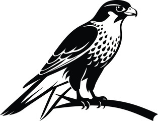 Falcon on branch, bird silhouette line art, perched raptor drawing, wildlife vector illustration, minimal nature scene