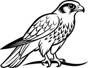 Falcon on branch, bird silhouette line art, perched raptor drawing, wildlife vector illustration, minimal nature scene