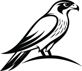 Falcon on branch, bird silhouette line art, perched raptor drawing, wildlife vector illustration, minimal nature scene