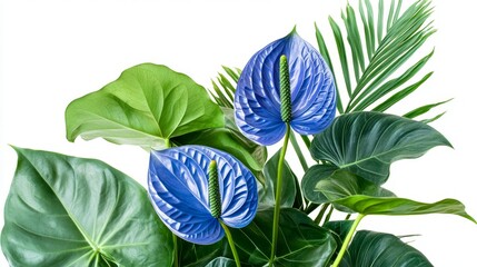 Obraz premium A stunning and vibrant floral arrangement featuring beautiful purple orchids complemented by lush green leaves