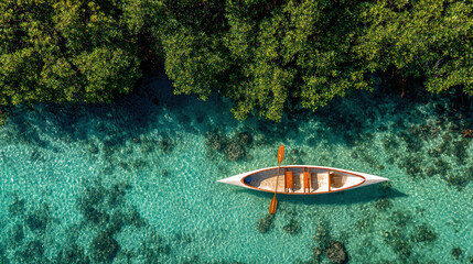 Aerial View of a Kayak in Clear Turquoise Water Surrounded by Mangrove Trees A Tropical Paradise Scene