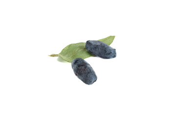 Leaf and two honeysuckle berries on white background.