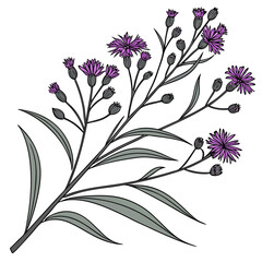 floral background with ironweed arkansas
