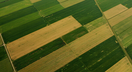 Aerial View of Geometric Agricultural Fields