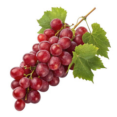 Fototapeta premium Fresh red grapes with leaves isolated on transparent background