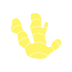 Cute hand drawn flat ginger root isolated on white background. Healthy vegetarian food. Summer and autumn harvest.