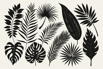 Palm Leaf Assortment Vector Graphic in Silhouette Style on white background