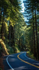 Obraz premium A winding road through the redwood forest, trees towering above with sunlight filtering down, template for social media banner, digital marketing, web, mobile wallpaper, greetings card