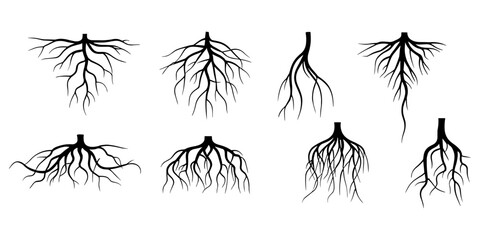 Tree root icon set. Tree root silhouette set vector