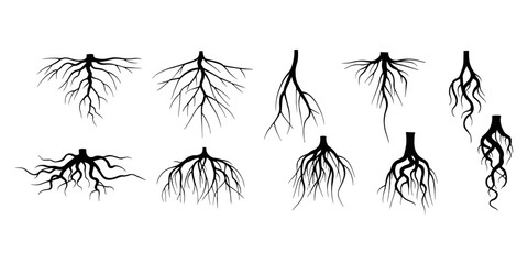 Tree root icon set. Tree root silhouette set vector