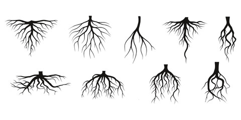 Tree root icon set. Tree root silhouette set vector