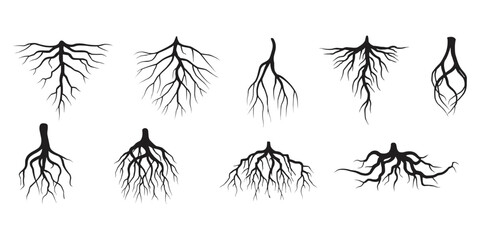 Tree root icon set. Tree root silhouette set vector