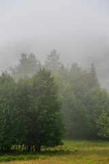 Foggy morning under Pilsko mountain