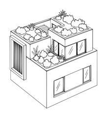 Rooftop Gardening