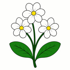 bouquet of white flowers