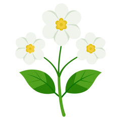 Fototapeta premium yellow flower isolated on white background