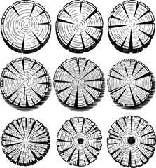 Tree Trunk Cross Section Set with Growth Rings Engraved Illustration.