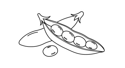 Hand Drawn Illustration of Pea Pods with Peas for Coloring Pages