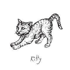Cat (kitty) small cute stretching, side view, doodle black ink drawing, woodcut vector