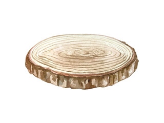 Round cut of a tree used as a stand for bouquets and candles. Hand drawn watercolor illustration isolated on white. New Year and Christmas clip art.