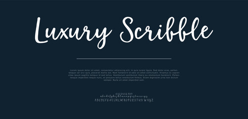 Signature Font Uppercase Lowercase And Number. Script Font Calligraphy Logotype  elegant Font Type Font lettering handwritten. vector illustration  
