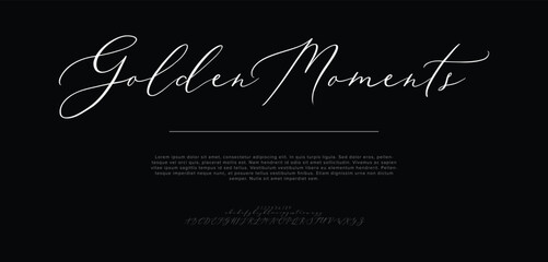 Signature Font Uppercase Lowercase And Number. Script Font Calligraphy Logotype  elegant Font Type Font lettering handwritten. vector illustration  
