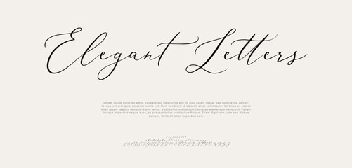 Signature Font Uppercase Lowercase And Number. Script Font Calligraphy Logotype  elegant Font Type Font lettering handwritten. vector illustration  
