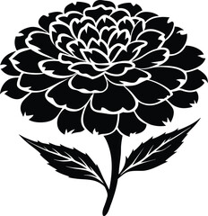 Marigold flower silhouette, botanical line art, floral element vector, minimal plant drawing, garden bloom illustration