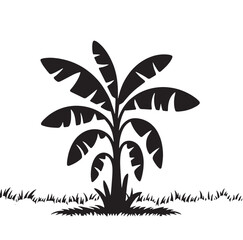 Stylized Black Banana Tree Illustration with Blossom