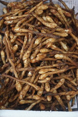 Medicinal stems resembling eggplant roots sold in a Korean traditional market