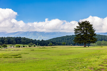 Kocayayla Plateau in Keles District. Bursa, Turkey. Beautiful Plateau of Bursa City.