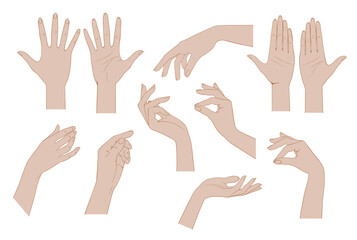 A set of linear drawings of flesh-colored female hands isolated on white. Retro icons, emblems and logo. Vector illustration