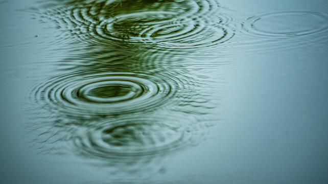 Rain drop ripple reflection on pond water.Gentle greenish pond water disturbed by raindrop-induced ripple fluctuations—soft natural abstract background. - Powered by Adobe