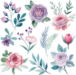 Watercolor floral elements with pink purple roses and green leaves flowers pink rose