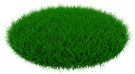 green grass on white background